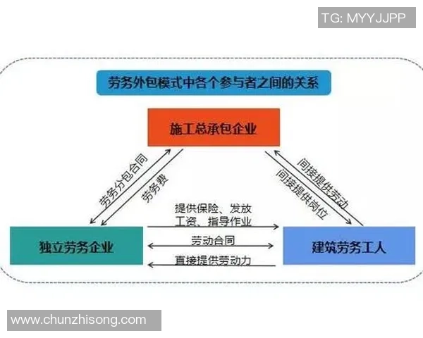 重庆排球队包夹战术深度分析与实战应用探讨