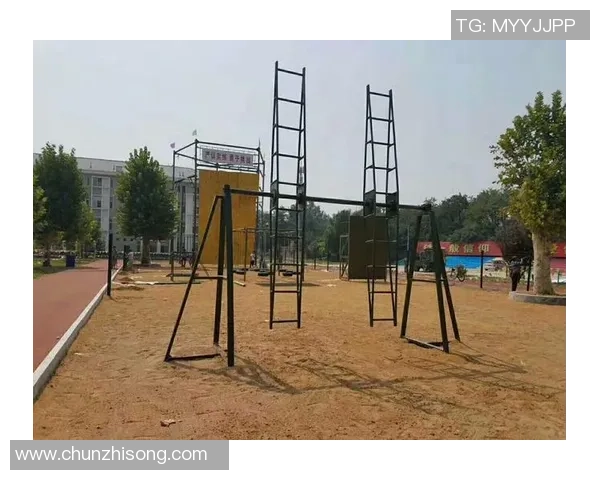 北京足球队在钻石联赛中的战术解析与表现评估 北京足球队在钻石联赛中的战术解析与表现评估